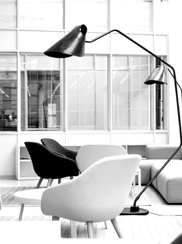 [project title] — the finished space, dithered